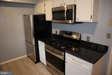 9848 Hollow Glen Place unit 2552A, Silver Spring, MD 20910 - photo 5