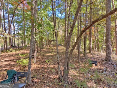 962 Winters Mountain Rd, Dahlonega, GA 30533 - photo 4