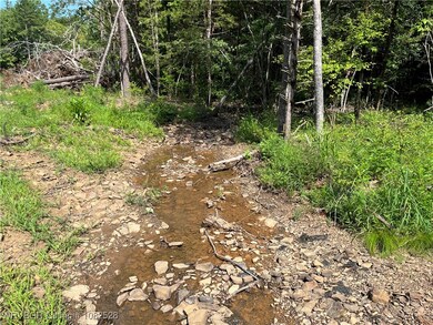0089 Tract 8 & 9 Goats Bluff Rd, Wister, OK 74966 - photo 3