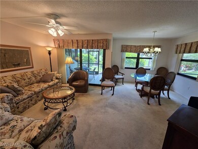 Living Room Sliders Lead to Lovely Lanai with View
