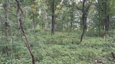 125TH Rd, Birmingham, IA 52535 - photo 6