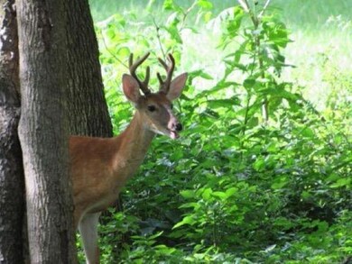 271 N Mcclellan St, Auburn, IN 46706 - photo 2