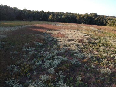 0 Old Agnes Rd, Weatherford, TX 76088 - photo 4