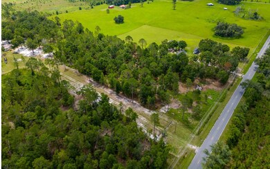 0 Lot 12 167th Rd unit 127741, Live Oak, FL 32060 - photo 6