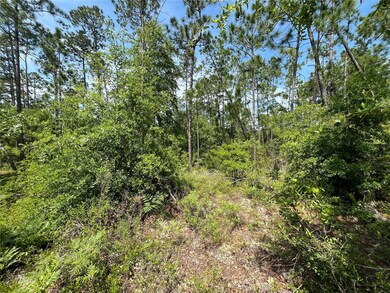 0 Holly Springs Ave unit MFROK225372, Alford, FL 32420 - photo 3