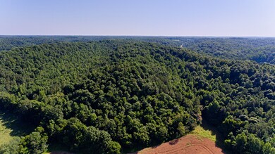 0 Tackets Br Rd unit RTC2400343, Goodspring, TN 38460 - photo 3