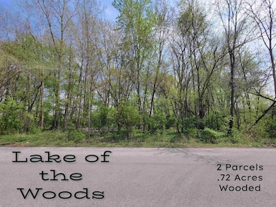 4376 E Shore Dr, German Township, IN 46506 - photo 3