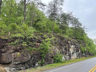 8472 Highway 25 W N, Duff, TN 37729 - photo 3