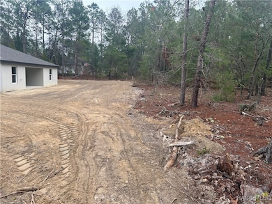 Photo of Actual Home and Homesite
