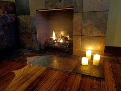 Living Room. Gel fuel fireplace