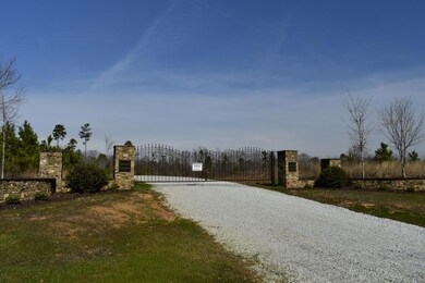 3 Millstone Creek Rd, Elberton, GA 30635 - photo 6