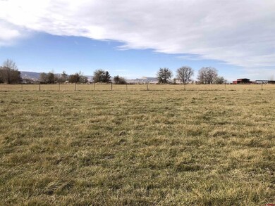 1217 (Lot 5) Lazy v Ln, Fruita, CO 81521 - photo 6