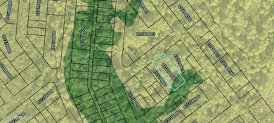 0 N 2nd Place unit 2118124, Saint Augustine, FL 32095 - photo 3