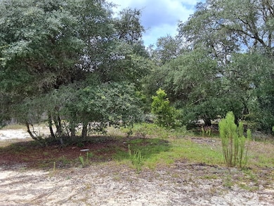 0 SW Kerria Ct unit 795440, Dunnellon, FL 34431 - photo 2