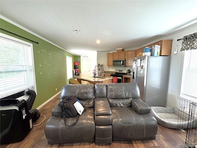 845 Oak St unit 46, Salida, CO 81201 - photo 6