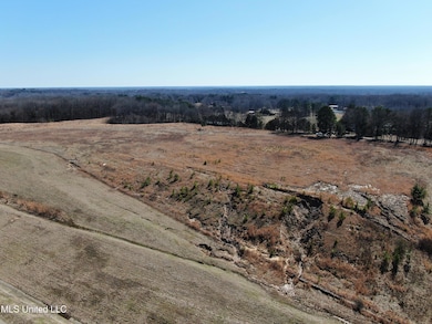 252 Shinpoch Ln, Olive Branch, MS 38654 - photo 4