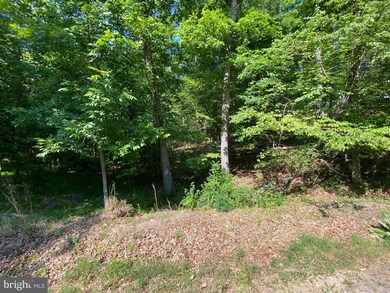 1114 Lakeview Dr, Cross Junction, VA 22625 - photo 3