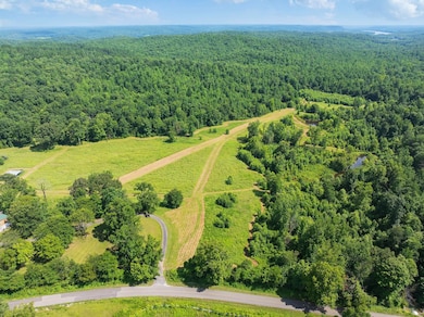 2210 Haynes Rd, Sugar Tree, TN 38380 - photo 6