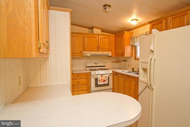 4 Brian Ct, Stevens, PA 17578 - photo 5