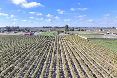 12615 S Mitchell Ave, Selma, CA 93662 - photo 6