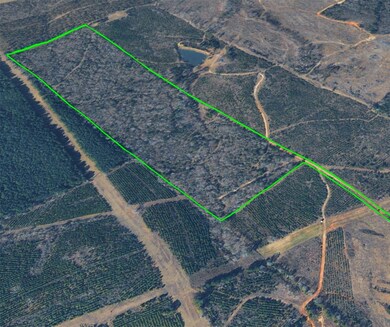 0 Nesbitt Cutoff, Marshall, TX 75670 - photo 7