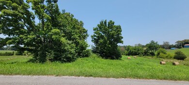 10.99 AC Eckles Cemetery Rd, Livingston, TN 38570 - photo 7