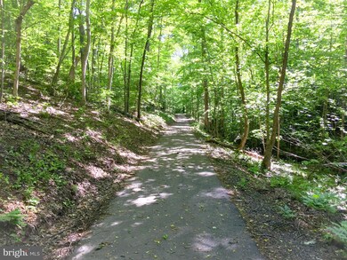 2212 Wildflower Way, Locust Grove, VA 22508 - photo 4