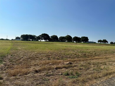 1040 Bluebonnet Ridge, Weatherford, TX 76087 - photo 2