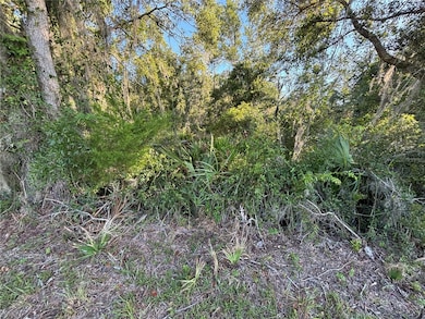 0 NE Highway 351, Cross City, FL - photo 7