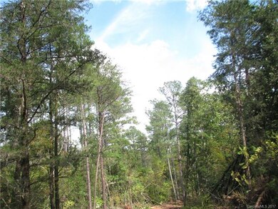 Big Pines for Cash Flow