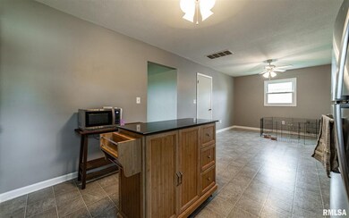 1036 N Jefferson St, Lincoln, IL 62656 - photo 6