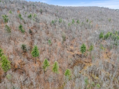 14 College View Rd, Dickinson, NY 13905 - photo 7