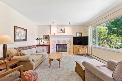 503 S 8th Ave, Bozeman, MT 59715 - photo 6