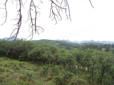 View 6