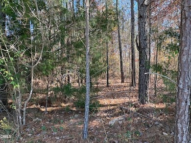 453 Golfers View, Pittsboro, NC 27312 - photo 4