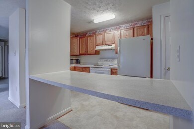 2125 Wainwright Ct unit BA, Frederick, MD 21702 - photo 5