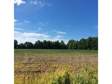 Land. Facing south
