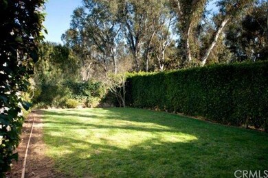 South-facing private grassy backyard