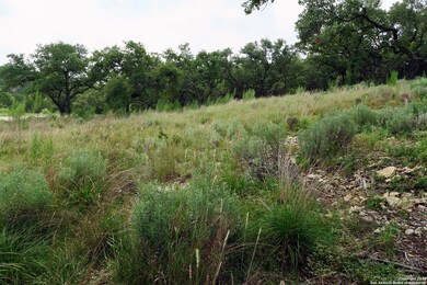 20322 Bobwhite Run, San Antonio, TX 78256 - photo 3