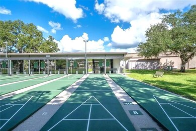 Shuffleboard