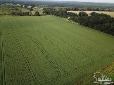 8+ acres Florida 87, Milton, FL 32570 - photo 2