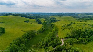 0 Piney Fork Rd, Dillonvale, OH 43917 - photo 2