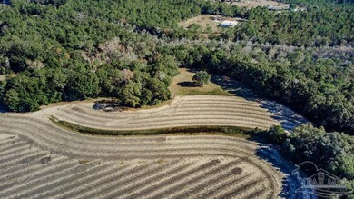 2A Segrest Rd, Chumuckla, FL 32571 - photo 6