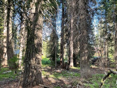 Nicely Wooded With Mature Timber