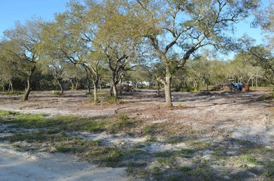 000 W Royal Oak Dr, Keaton Beach, FL 32348 - photo 7