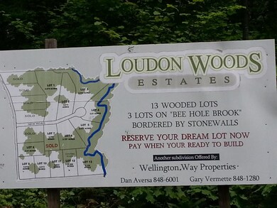 9 Bert Ln, Loudon, NH 03307 - photo 2