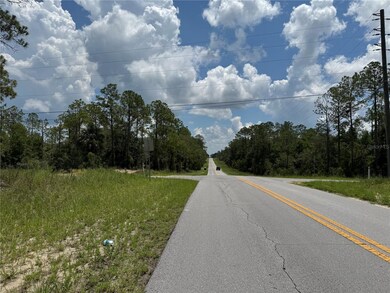 00 SW Rainbow Lakes Blvd, Dunnellon, FL 34431 - photo 6