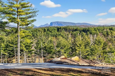 183 Crest View Dr NE unit 55, Nebo, NC 28761 - photo 6