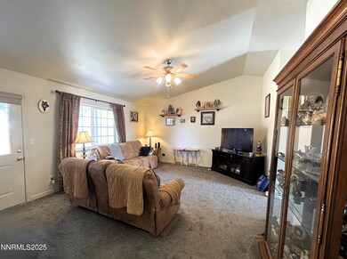 148 Toiyabe Ln, Fallon, NV 89406 - photo 6