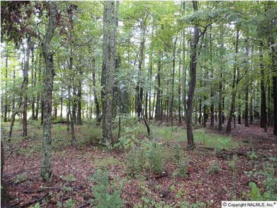 Good Hardwoods